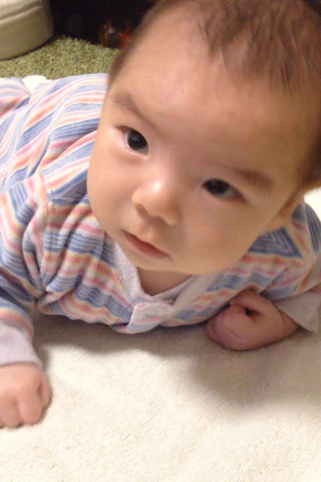 首をあげた赤ちゃん