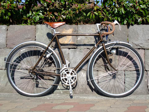 ALPSランドナーがやって来た! : 中年martyの自転車日記