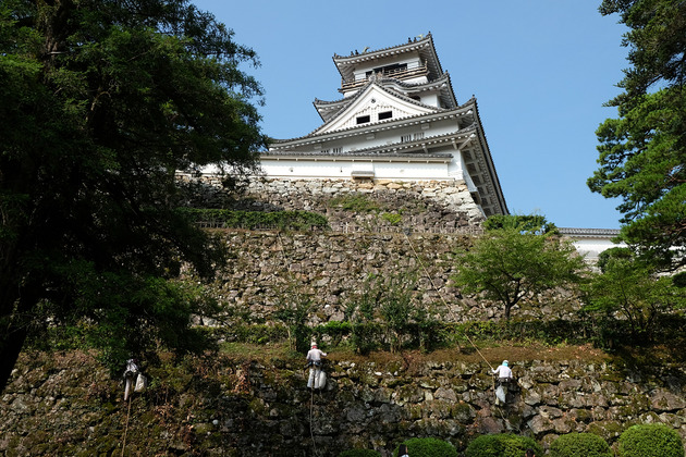 DSCF5256s
