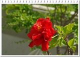 12f84742.jpg