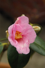1aa0f377.jpg