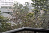 bd49c61f.jpg