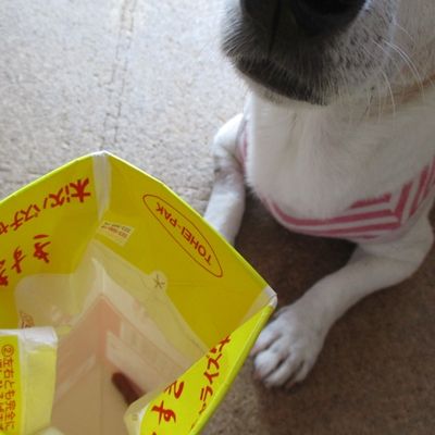 ひとつぶ入れて