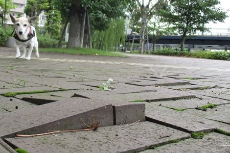思ってたら