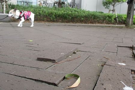 至るところに