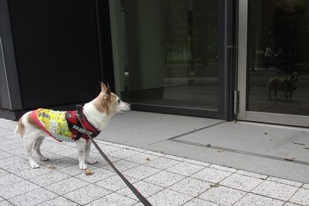 行きましたが、もう別の出口から出て行きました