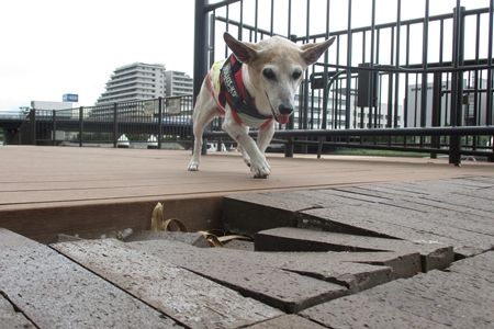 こりゃ危ないな〜と