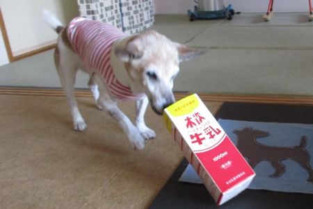 いらいら