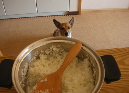 ʪ����̤�󤳤������������񤷤�