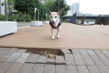こりゃひどいね〜