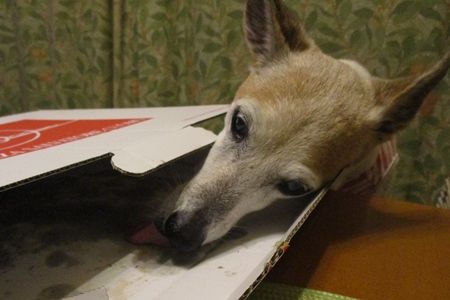 名残惜しや
