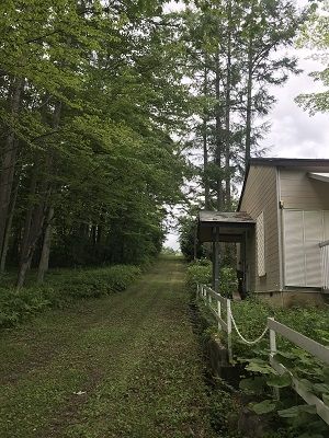 nenbahara1