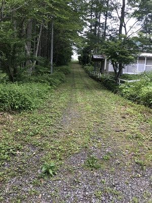nenbahara2