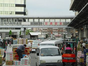 170715名古屋中央市場