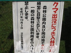 51010熊出没