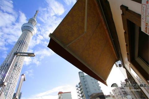 オーニング特集表紙