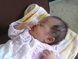 ゆずはちゃん