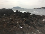 IMG_0704