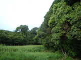 画像0828 003
