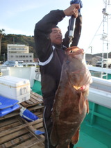 カマス 072