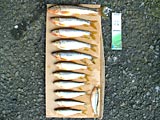 0624_yosida