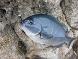 CIMG0758