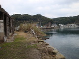 鷹島チヌ 005
