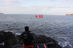 95
