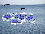 画像 025