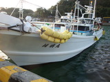 カマス 073