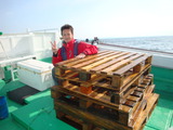 カマス 061