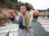 バス