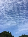 IMG_1670