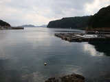 鷹島チヌ 004