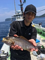 大アジ5