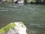 P1000354