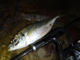 DSCF0792