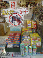 夏の夜釣りの必需品!!