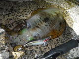 DSCF0468