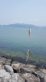 20170501_115700
