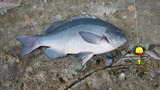20161120_070615