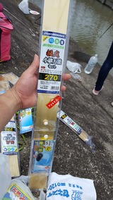 アラ釣り 007