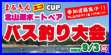 2017_バス釣りバナー