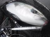 DSCF0550