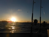 DSCF0480