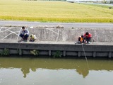 IMG_1710