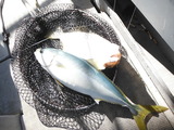 DSCF0494