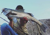IMG_20180810_085135_709