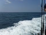 DSCF0743