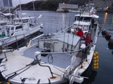DSCF0537